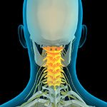 Cervical Spine Anatomy