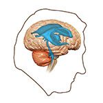 Obtrusive and Normal Pressure Hydrocephalus (NPH)